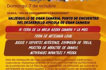 Programa de fiestas de San Miguel 2018 (Foto TA)